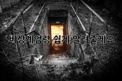 비상계엄령? 쉽게 알려줄게요! 🤔