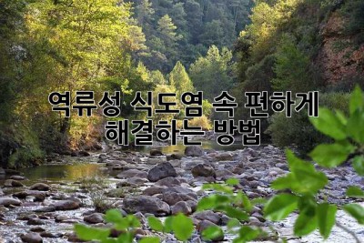 역류성 식도염, 속 편하게 해결하는 방법