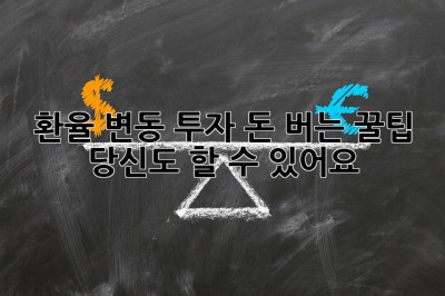 환율 변동 투자: 돈 버는 꿀팁🍯, 당신도 할 수 있어요!