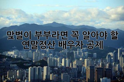 맞벌이 부부라면 꼭 알아야 할 연말정산 배우자 공제!