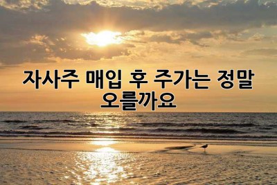 자사주 매입 후, 주가는 정말 오를까요? 🤔