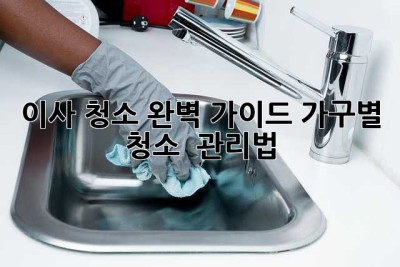 이사 청소 완벽 가이드: 가구별 청소 & 관리법