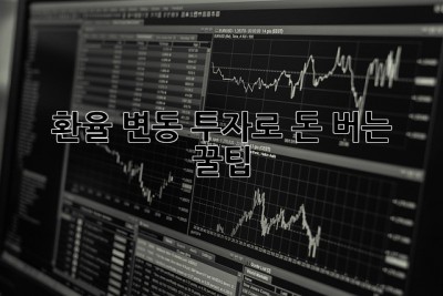 환율 변동 투자로 돈 버는 꿀팁🍯