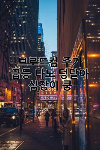 브로드컴 주가 급등! 나도 덩달아 심장이 쿵!