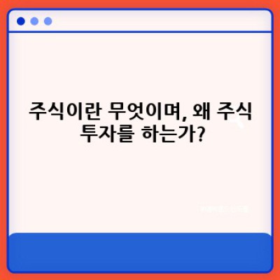 주식 투자 완벽 가이드: 초보자부터 전문가까지 알아야 할 모든 것