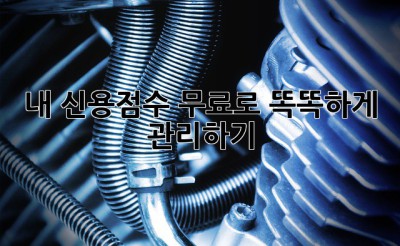 내 신용점수, 무료로 똑똑하게 관리하기! 💯