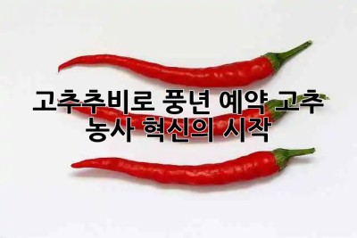 🌶️ 고추추비로 풍년 예약! 고추 농사 혁신의 시작 🚀