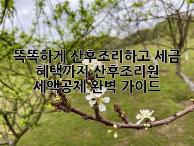 똑똑하게 산후조리하고 세금 혜택까지? 산후조리원 세액공제 완벽 가이드!