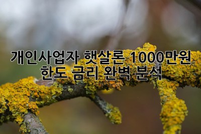 개인사업자 햇살론 1000만원? 한도 금리 완벽 분석! 💯
