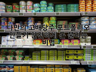 나만의 고배당주 포트폴리오 만들기: 안전하게 돈 불리는 비법!