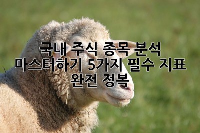 국내 주식 종목 분석 마스터하기: 5가지 필수 지표 완전 정복! 🚀