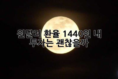 원달러 환율 1440원, 내 투자는 괜찮을까?