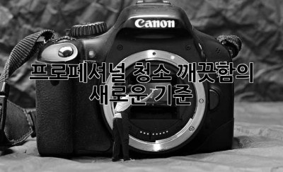 프로페셔널 청소: 깨끗함의 새로운 기준