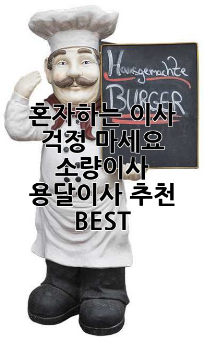 혼자하는 이사? 걱정 마세요! 소량이사 용달이사 추천 BEST