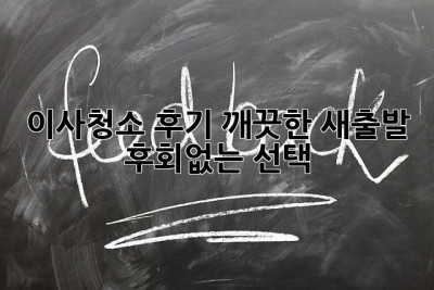 이사청소 후기: 깨끗한 새출발, 후회없는 선택?