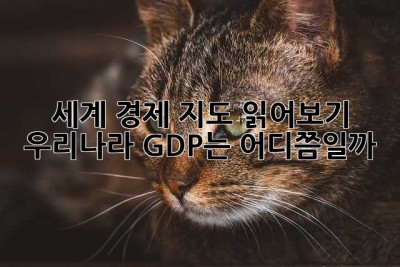 세계 경제 지도 읽어보기: 우리나라 GDP는 어디쯤일까? 🤔