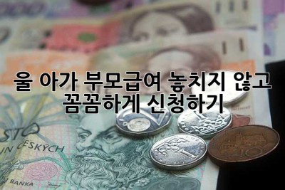 울 아가 부모급여, 놓치지 않고 꼼꼼하게 신청하기!