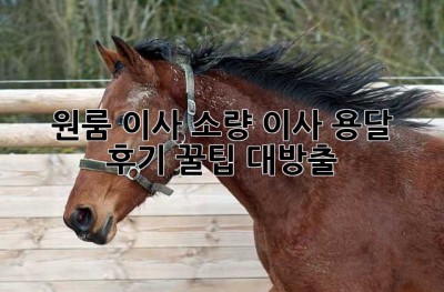 원룸 이사, 소량 이사 용달 후기: 꿀팁 대방출!