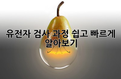 유전자 검사 과정: 쉽고 빠르게 알아보기