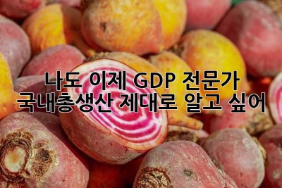 나도 이제 GDP 전문가? 국내총생산, 제대로 알고 싶어!