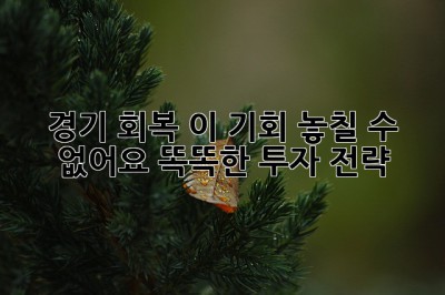 경기 회복, 이 기회 놓칠 수 없어요! 똑똑한 투자 전략 ✨