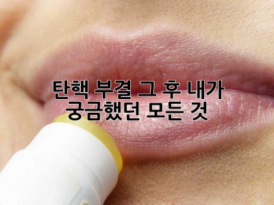 탄핵 부결, 그 후… 내가 궁금했던 모든 것