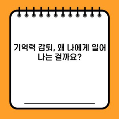 잊지 않는 뇌: 기억력 향상의 모든 것 – 최신 과학과 실용 팁 완벽 가이드