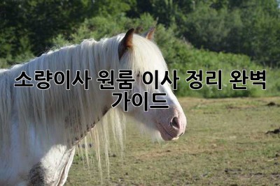 소량이사 원룸 이사 정리 완벽 가이드