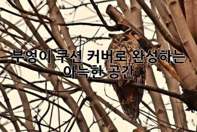 부엉이 쿠션 커버로 완성하는 아늑한 공간