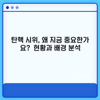 2023 탄핵 시위 일정 총정리: 최신 정보와 논란 분석, 참여 방법까지!