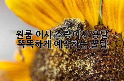 원룸 이사? 소량이사 용달, 똑똑하게 예약하는 꿀팁!