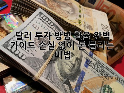달러 투자 방법 환율 완벽 가이드: 손실 없이 돈 불리는 비법! ✨