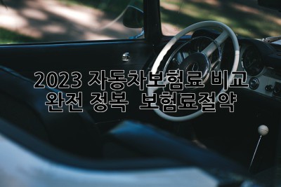 2023 자동차보험료 비교 완전 정복! 🚗💨 #보험료절약