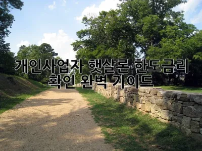 개인사업자 햇살론 한도&금리 확인 완벽 가이드! 💯