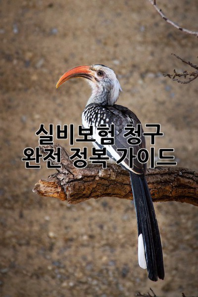 실비보험 청구 완전 정복 가이드! 💯