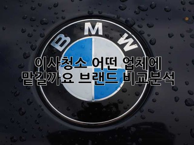 이사청소, 어떤 업체에 맡길까요? 브랜드 비교분석!