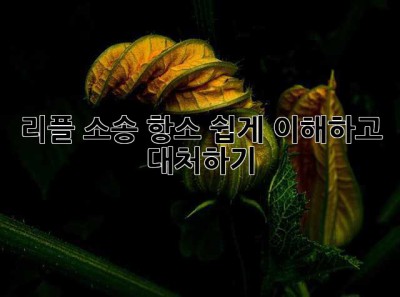 리플 소송 항소, 쉽게 이해하고 대처하기