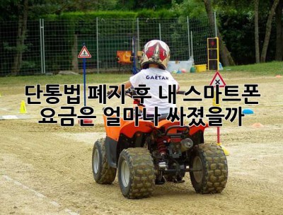 단통법 폐지 후, 내 스마트폰 요금은 얼마나 싸졌을까? 🤔