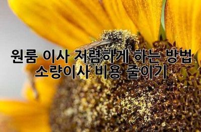 원룸 이사, 저렴하게 하는 방법! 소량이사 비용 줄이기