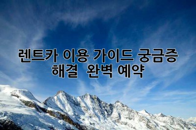 렌트카 이용 가이드: 궁금증 해결 & 완벽 예약
