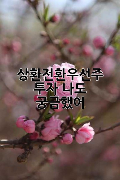 상환전환우선주 투자? 나도 궁금했어!