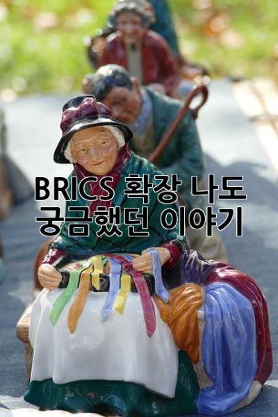 BRICS 확장? 나도 궁금했던 이야기!