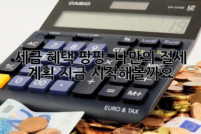 세금 혜택 팡팡! ✨ 나만의 절세 계획, 지금 시작해볼까요?