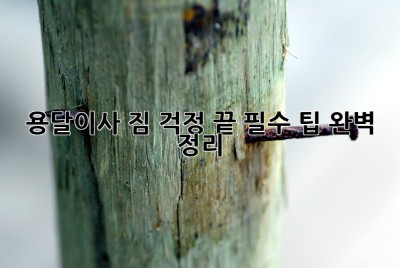 용달이사, 짐 걱정 끝! 필수 팁 완벽 정리