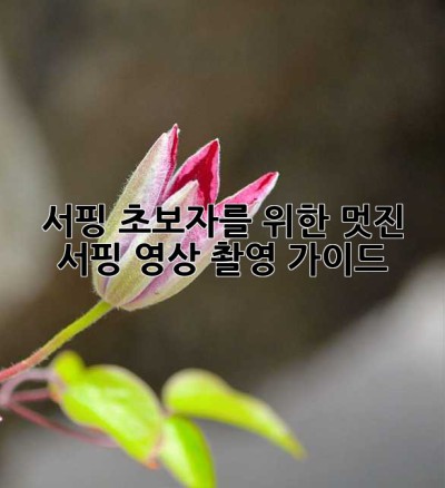 서핑 초보자를 위한 멋진 서핑 영상 촬영 가이드!