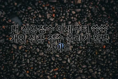 내 신용점수, 이제부터 쑥쑥! 🚀 개인 신용 점수 올리기 완벽 가이드
