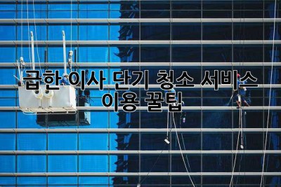 급한 이사? 단기 청소 서비스 이용 꿀팁! ✨