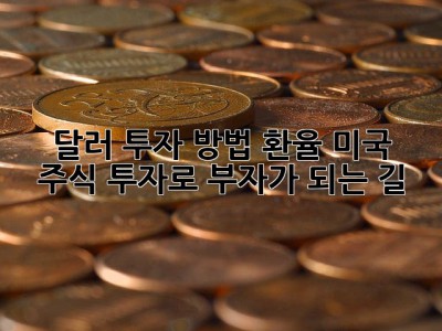 달러 투자 방법 환율: 미국 주식 투자로 부자가 되는 길! 💰