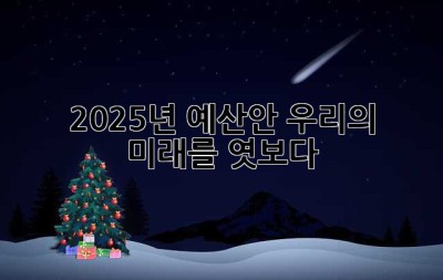 2025년 예산안, 우리의 미래를 엿보다 👀