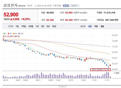 삼성전자 주가 하락, 충격의 4만전자! 반등 가능성은?
